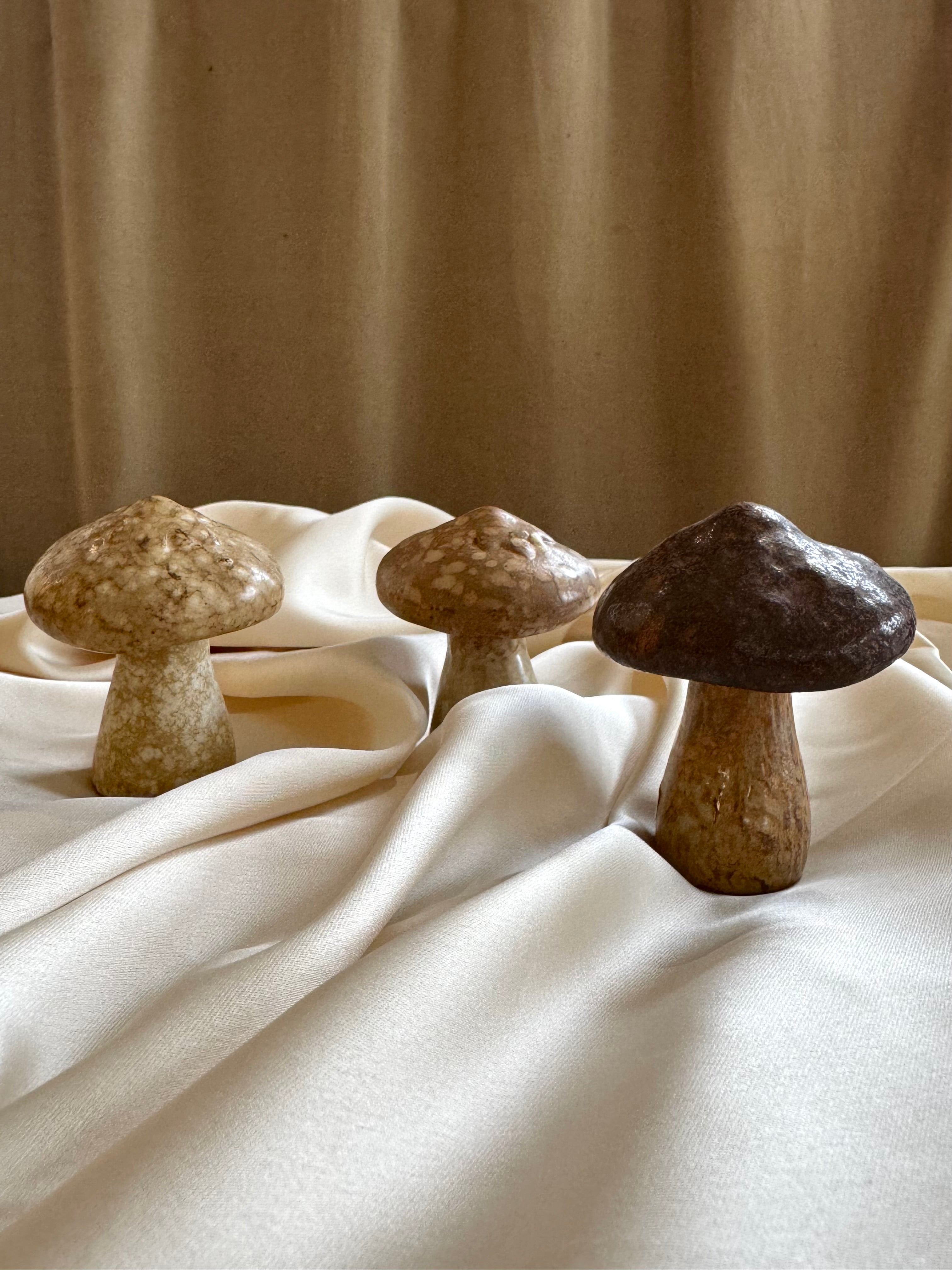 Champignons décoratifs en grès naturel - Marron clair