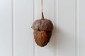 Gland de feuille brun foncé