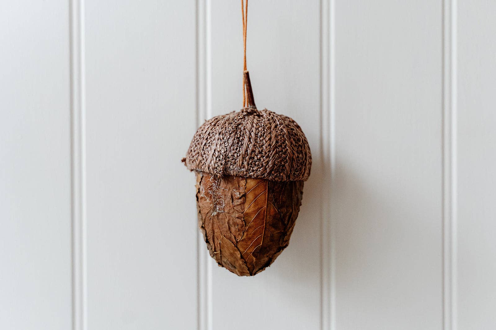Gland de feuille brun foncé