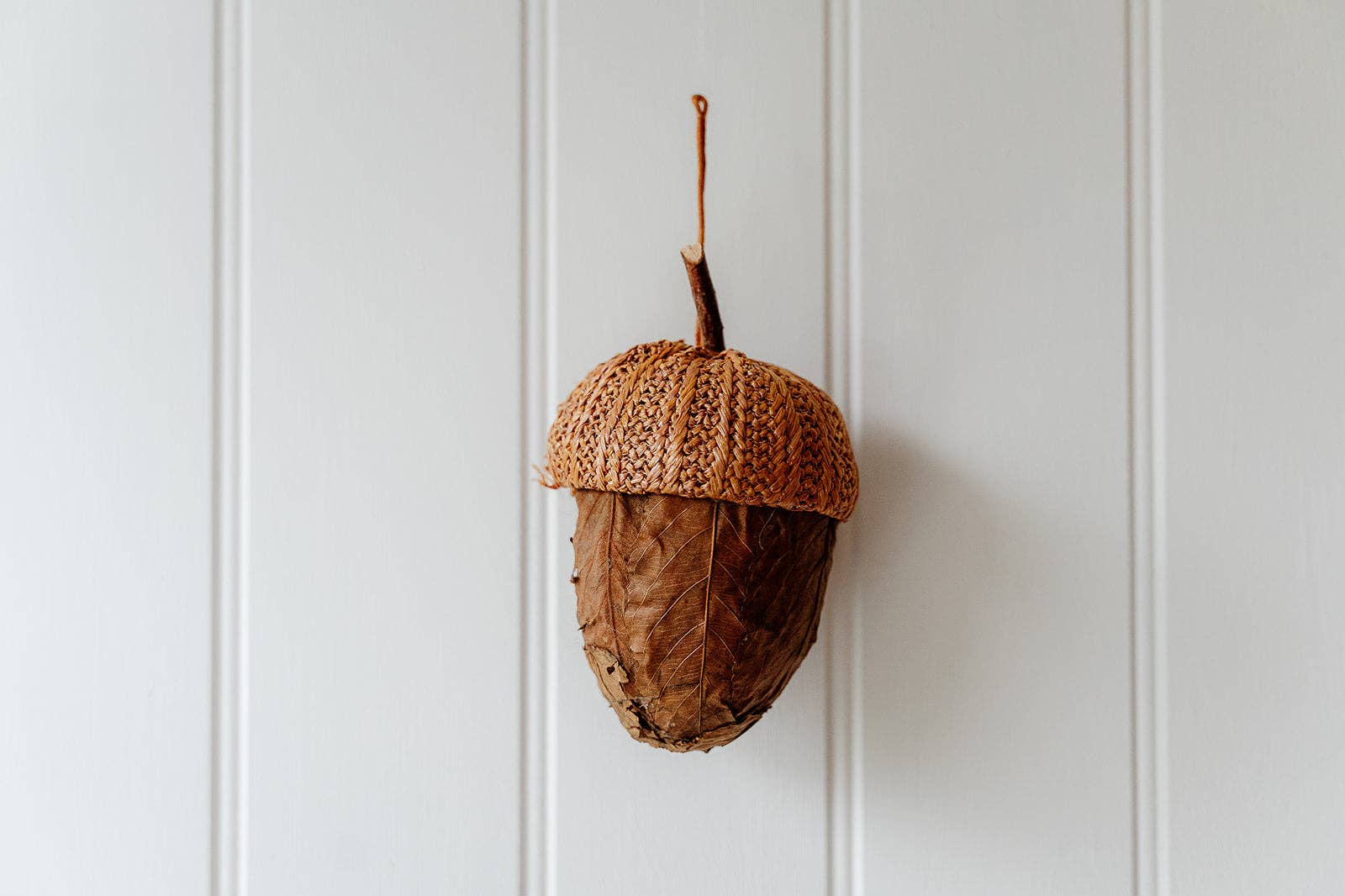 Gland de feuille brun clair
